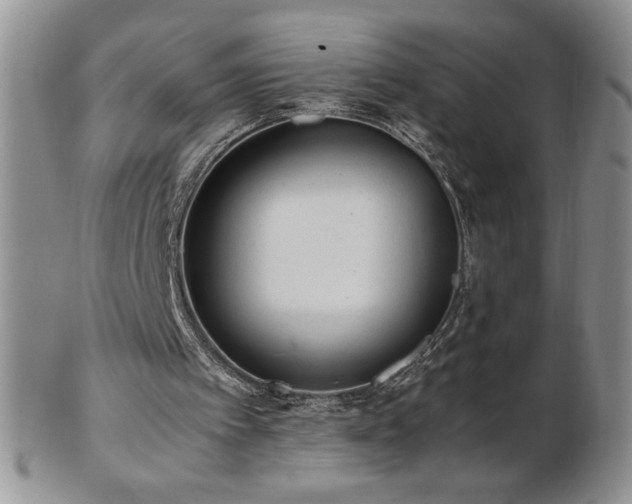 X0000103130097200808221203