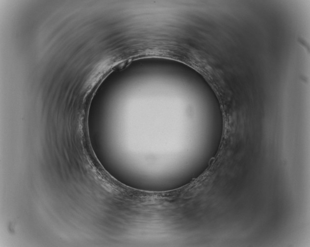 X0000103130098200808221203