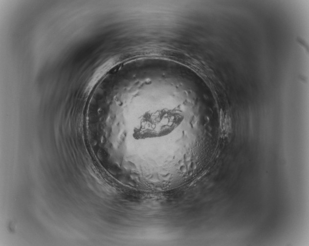 X0000103130099200808221203