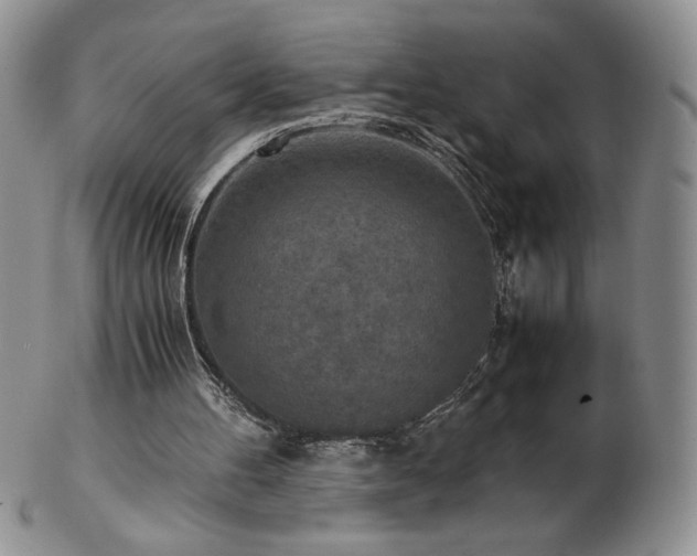 X0000103130100200808221203