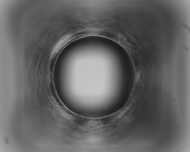 X0000103130101200808221203