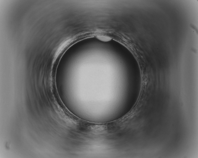 X0000103130102200808221203