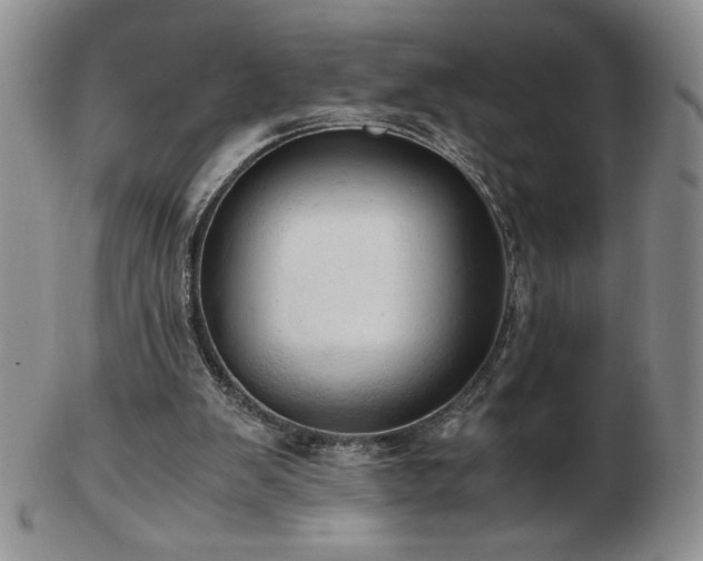 X0000103130103200808221203