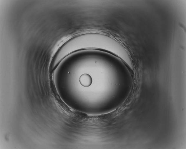 X0000103130104200808221203
