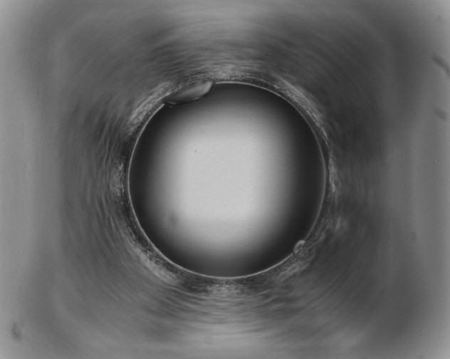X0000103130105200808221203
