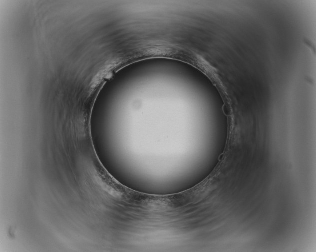 X0000103130106200808221203
