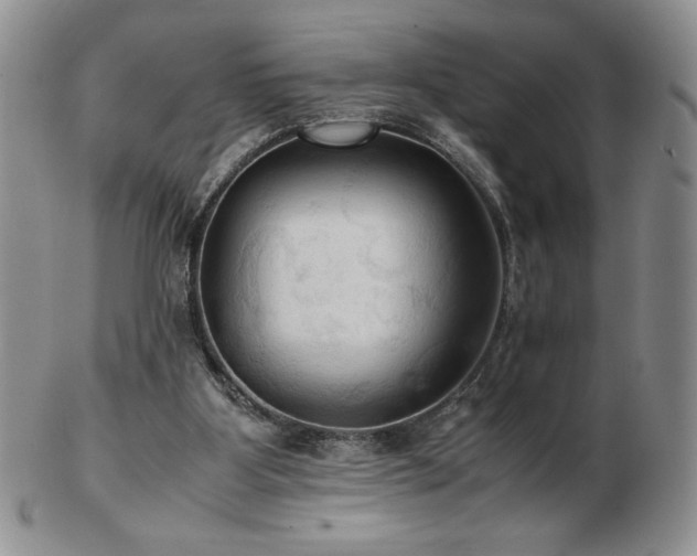 X0000103130107200808221203