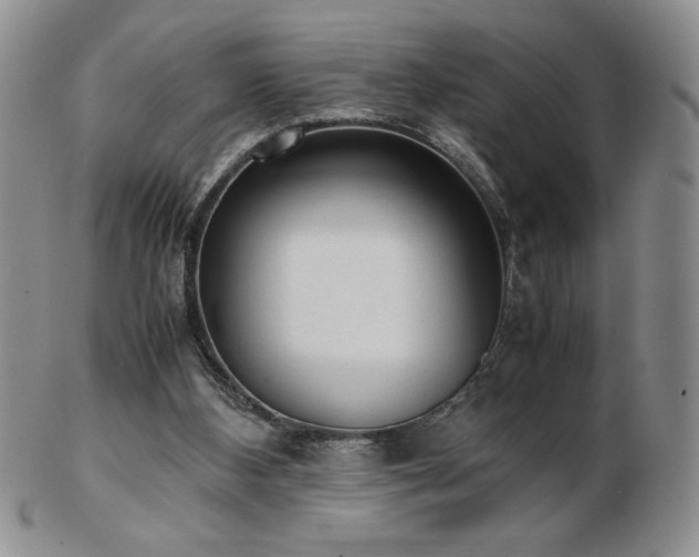 X0000103130108200808221203