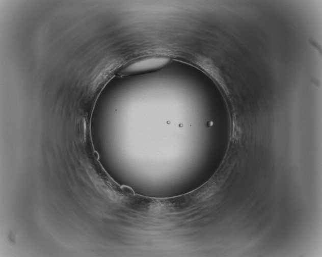 X0000103130109200808221203