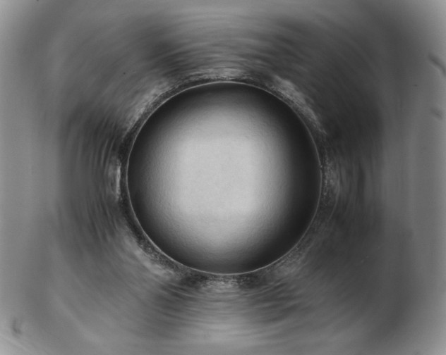 X0000103130110200808221203