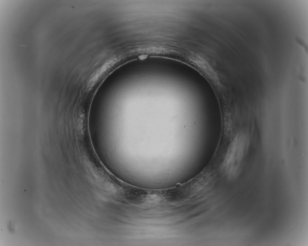 X0000103130111200808221203