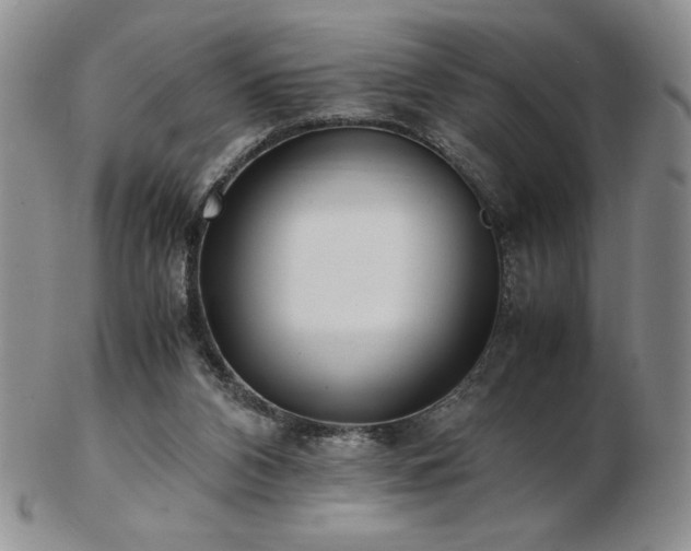 X0000103130112200808221203