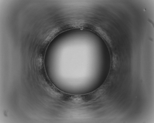 X0000103130113200808221203