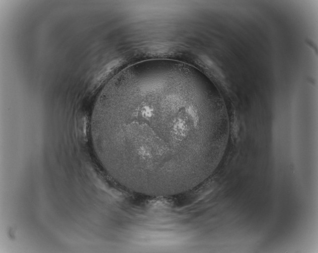 X0000103130115200808221203