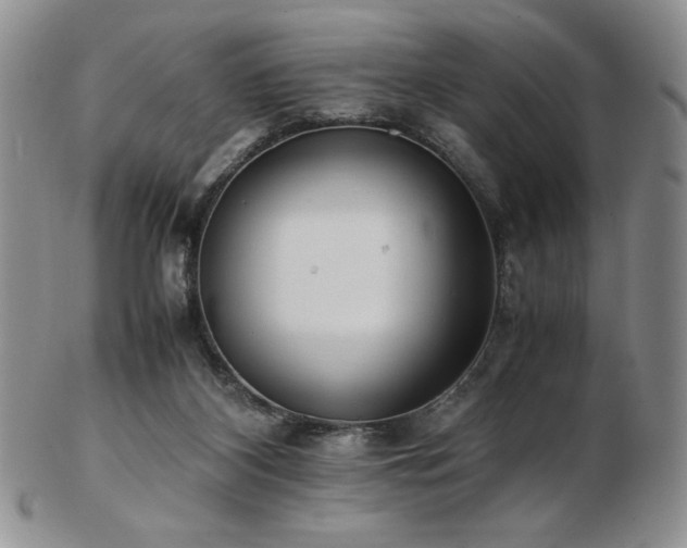 X0000103130116200808221202