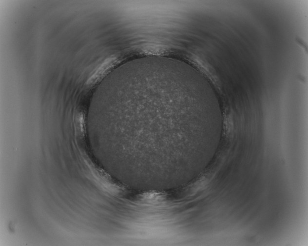 X0000103130117200808221202