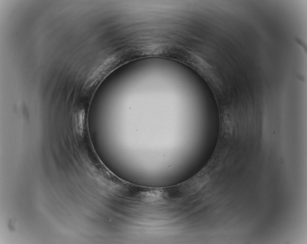 X0000103130118200808221202