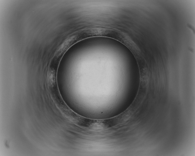 X0000103130119200808221202