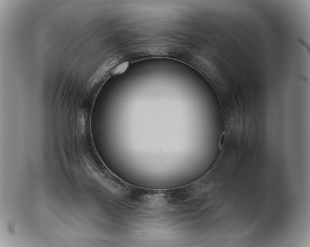 X0000103130120200808221202