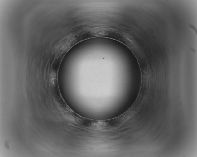 X0000103130125200808221202