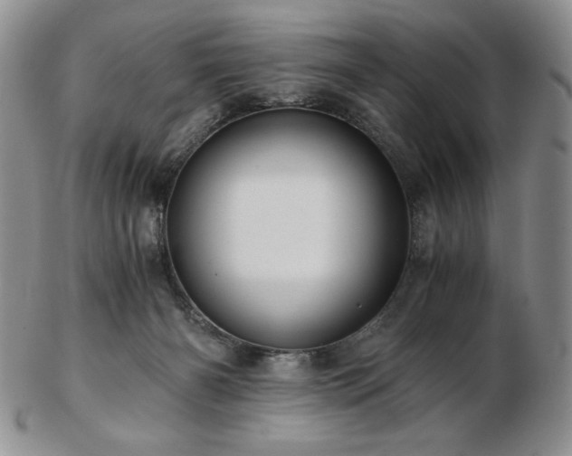 X0000103130126200808221202