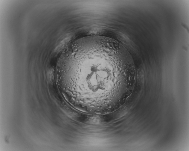 X0000103130127200808221202