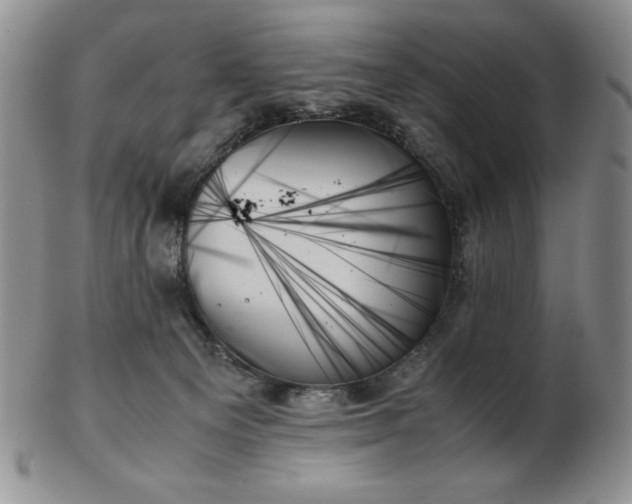 X0000103130129200808221202
