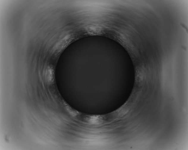 X0000103130130200808221202