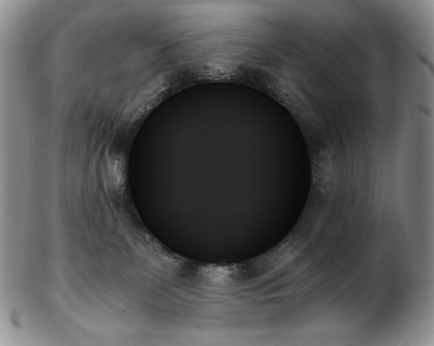 X0000103130131200808221202