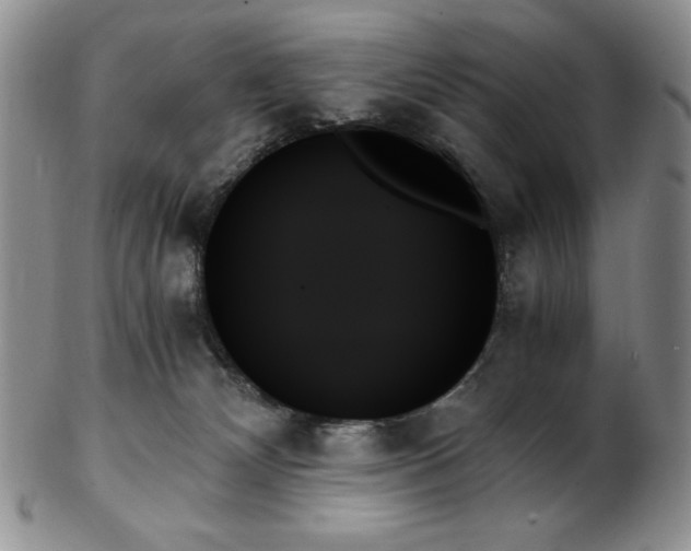 X0000103130132200808221202