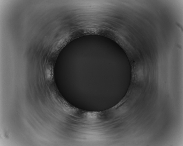 X0000103130134200808221202