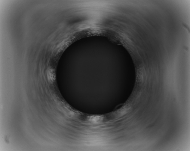 X0000103130135200808221202