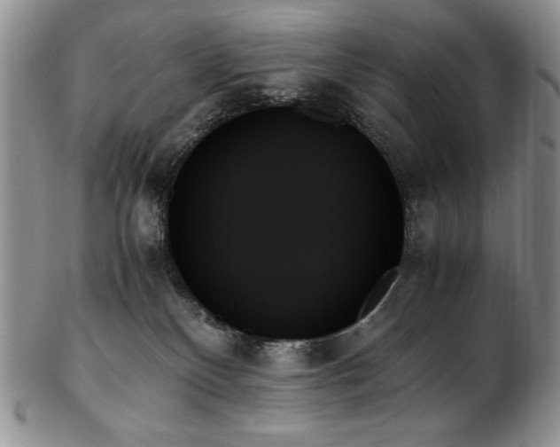 X0000103130136200808221202