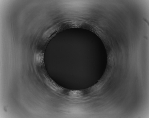X0000103130137200808221202