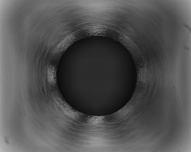 X0000103130138200808221202