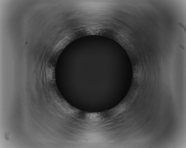 X0000103130139200808221202