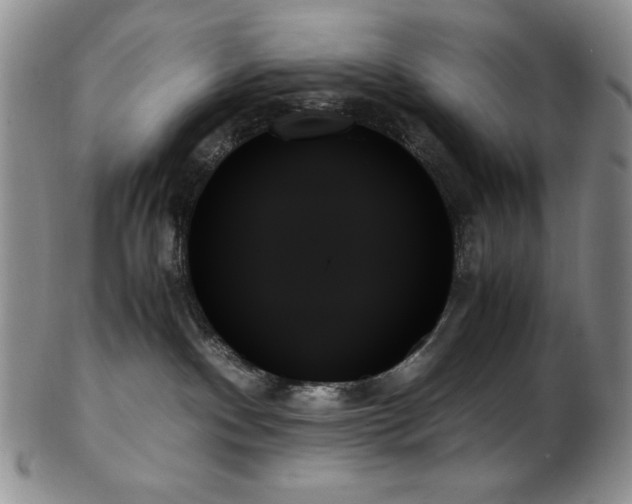 X0000103130140200808221202