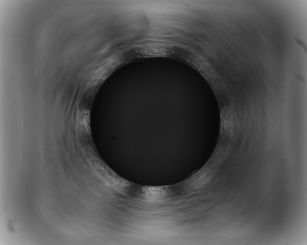 X0000103130141200808221202