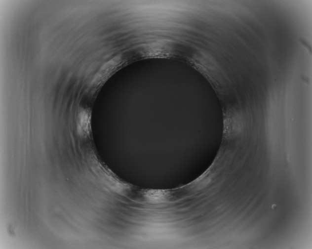X0000103130142200808221202