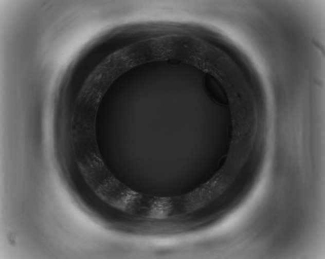 X0000103130143200808221202