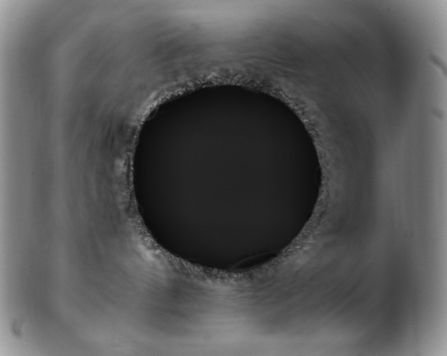 X0000103130144200808221202