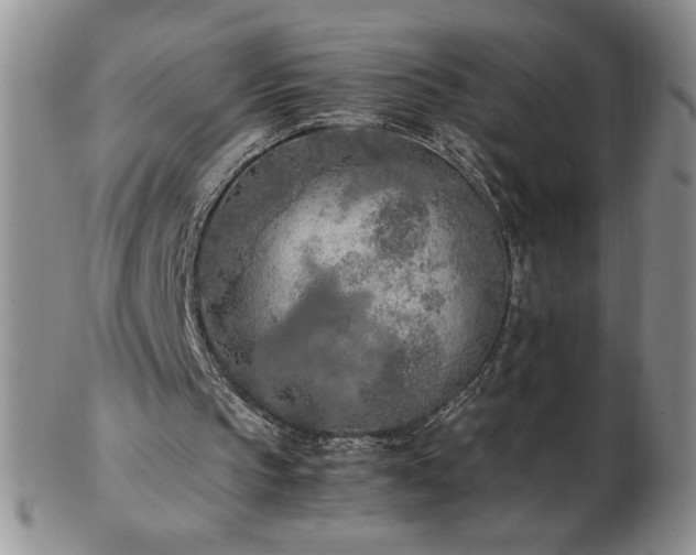 X0000103130145200808221201