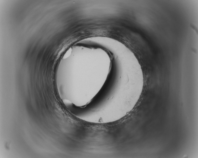 X0000103130146200808221201