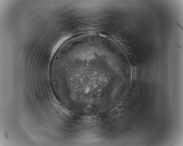 X0000103130147200808221201