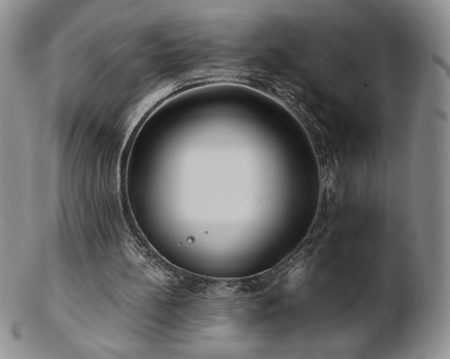 X0000103130148200808221201