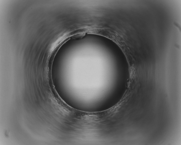 X0000103130150200808221201