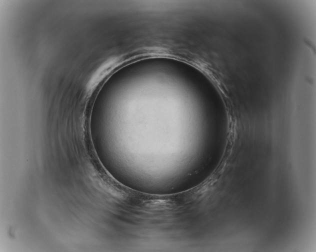 X0000103130151200808221201