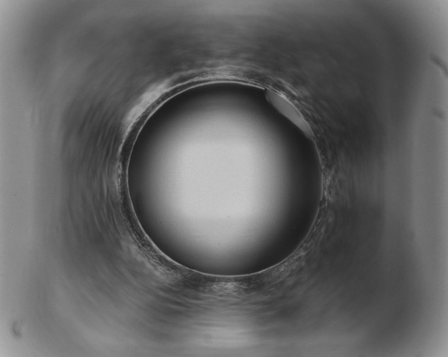 X0000103130152200808221201