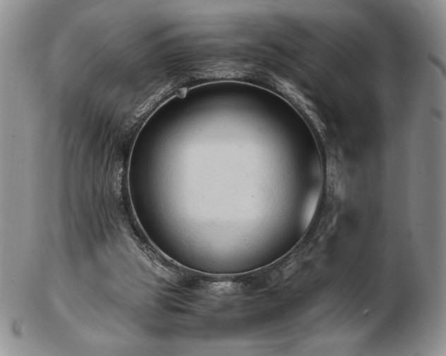 X0000103130153200808221201