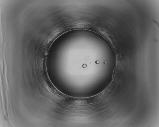X0000103130154200808221201
